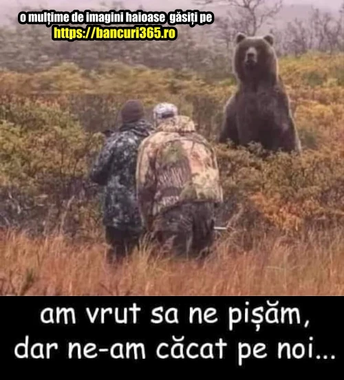 ce au facut doi vanatori cand s au intalnit cu ursul bancuri