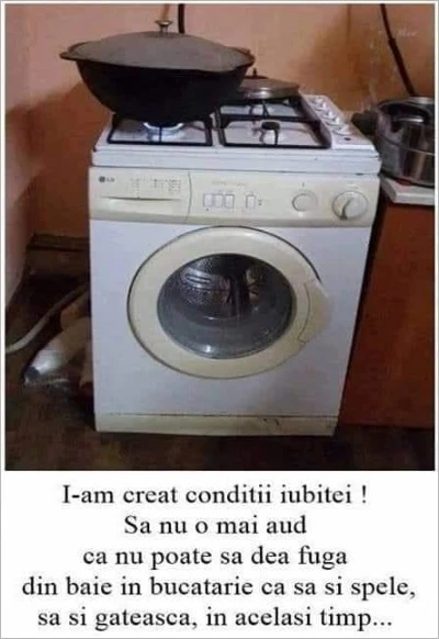 ce conditii a creat sotul nevestei sale