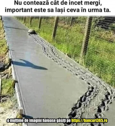 ce este Cel mai important in viata