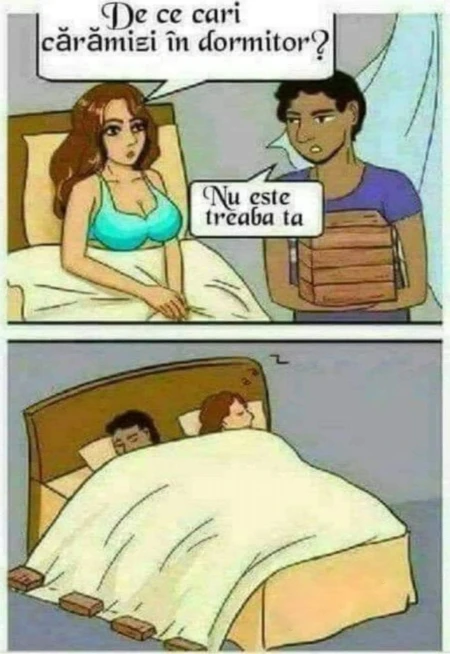 ce face un barbat cu caramizi in dormitor