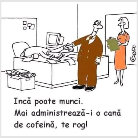 ce face un sef pentru a creste productivitatea la munca