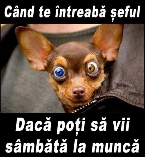 ce fata face un angajat cand trebuie sa vina la munca