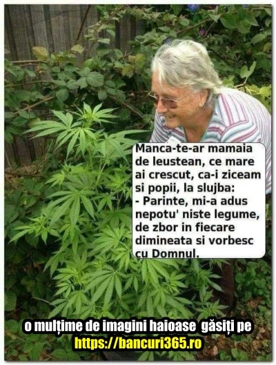 ce fel de leustean consuma o babuta