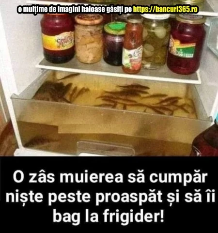 ce fel de peste a cumparat un barbat