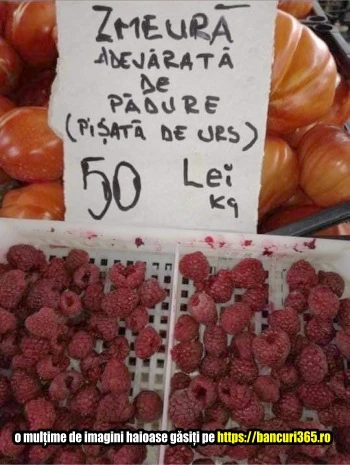 ce fel de smeura vinde lumea la piata