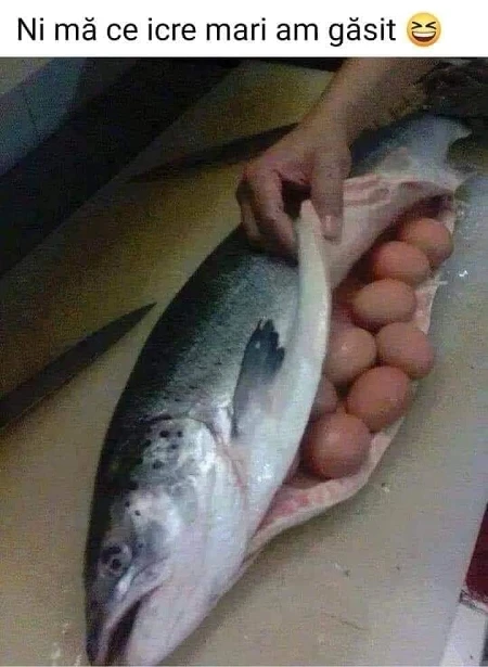 Ce icre mari are un peste