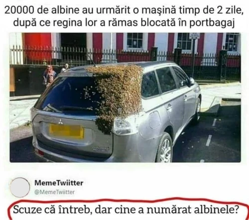 ce intrebare are un cititor privitor la albine