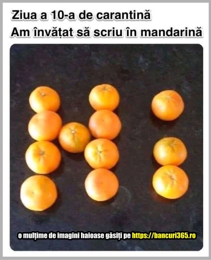 ce invata lumea in carantina bancuri 365
