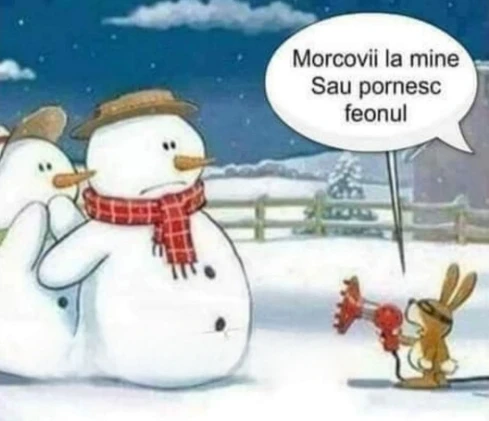 ce le face un iepuras la doi oameni de zapada bancuri