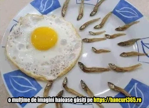 ce mancare a preparat o femeie