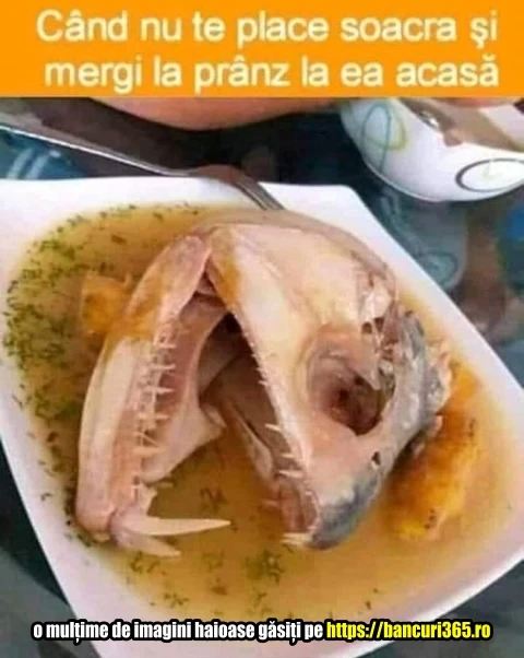 ce mancare face soacra pentru invitati bancuuri tari