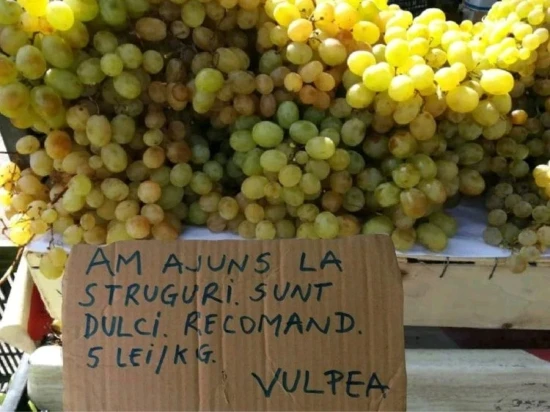 ce parere are vulpea despre struguri