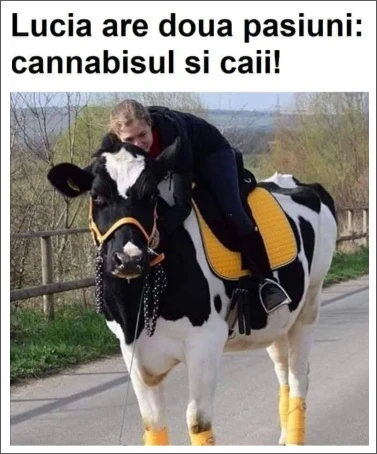 ce pasiuni are o femeie