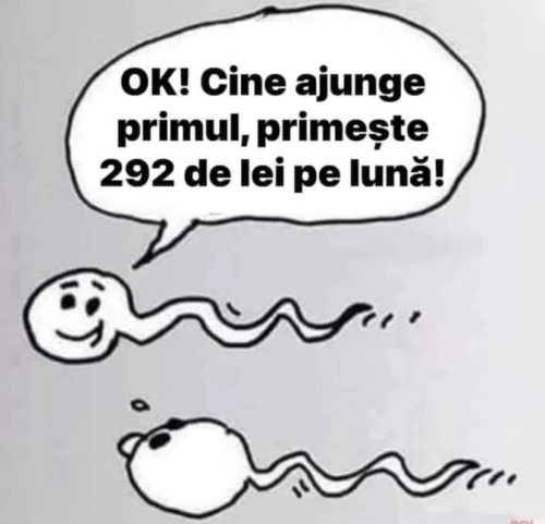 ce primeste ca premiu cel care castiga un concurs