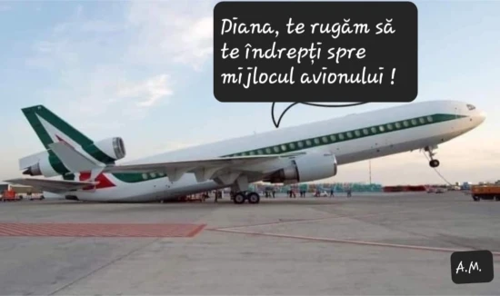 ce rugaminte are pilotul unui avion pentru o pasagera
