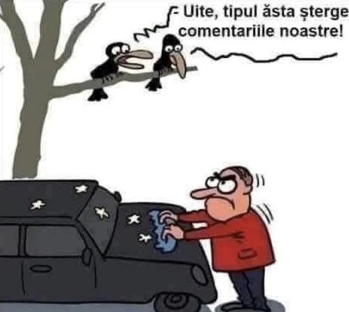 Ce sterge un tip de pe masina