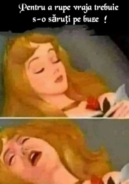 ce trebuie sa faca voinicul din poveste ca Sa rupa vraja