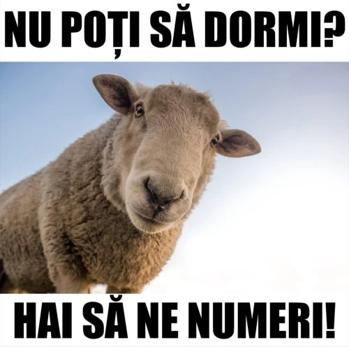 ce trebuie sa faci ca sa adormi