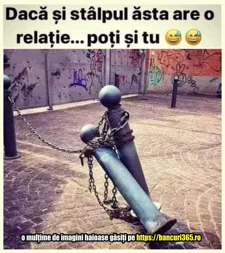 cel mai bun exemplu pentru cei singuri bancuri