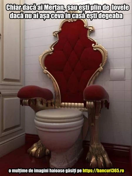 cel mai tare wc vazut vreodata