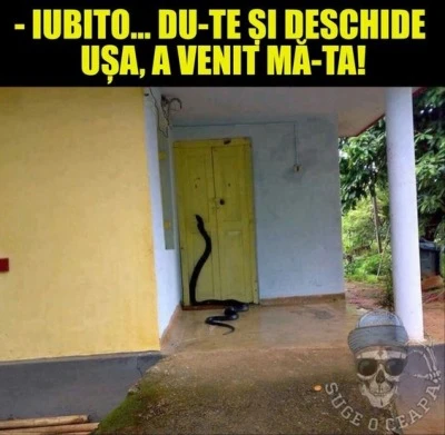 cine este la usa bancuri cu soacre