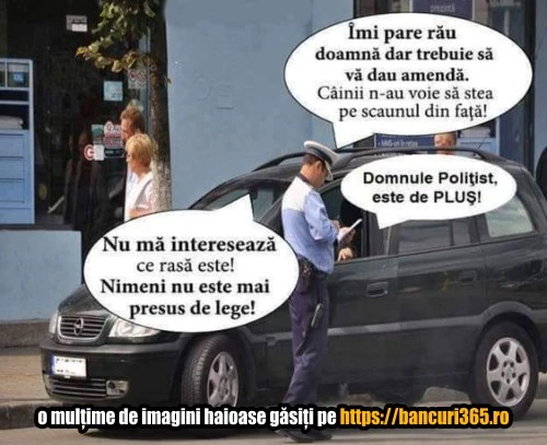 cu ce animale nu ai voie sa mergi in masina