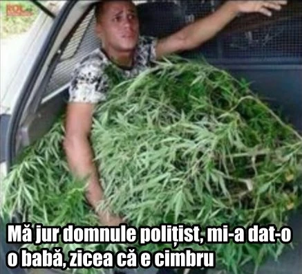 cu ce fel de cimbru a fost prins un traficant