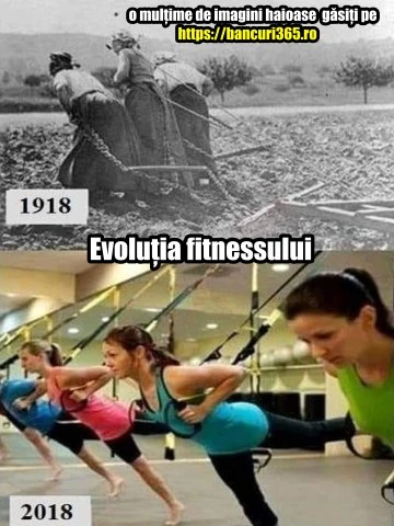 cum a evoluat aerobicul
