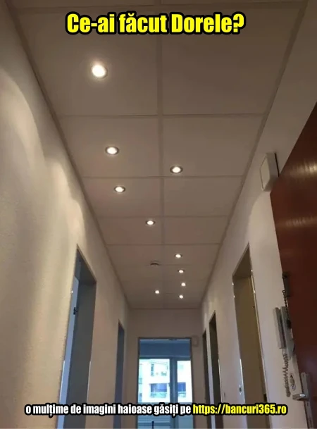 cum a montat dorel lampile pe hol bancul zilei