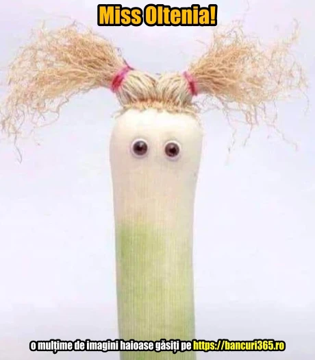 cum arata Miss Oltenia gluma zilei