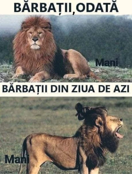 cum arata barbatii de alta data si cum arata cei de astazi bancuri