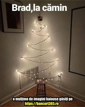 cum arata bradul de camin
