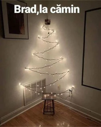 cum arata bradul studentesc