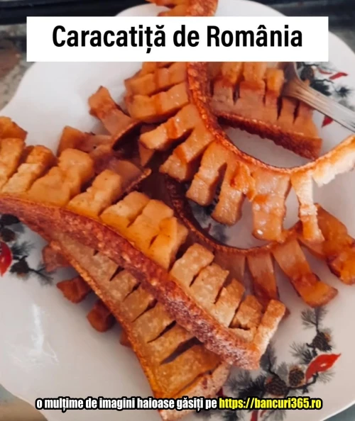 Cum arată caracatița de Rom&acirc;nia