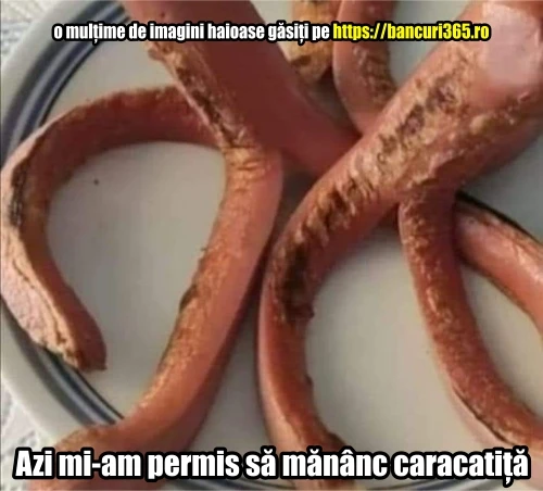 cum arata caracatita romaneasca