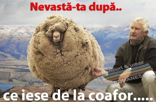 cum arata femeia dupa ce iese de la coafor