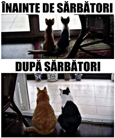 cum arata lumea inainte si dupa sarbatori