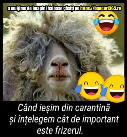 cum arata parul nostru dupa covid19 2020