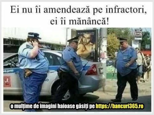 cum arata politistul model