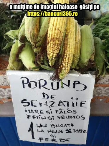 cum arata porumbul de senzatie