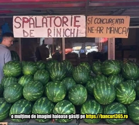 cum arata reclama la spalatoria de rinichi