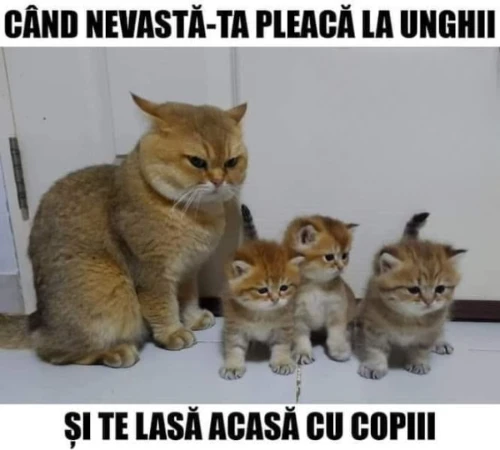 cum arata sotul cand nevasta pleaca la unghii bancuri