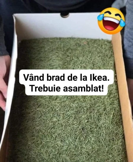 cum arata un brad de la Ikeea gluma zilei