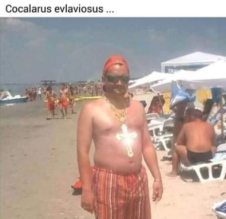 cum arata un cocalar evlavios