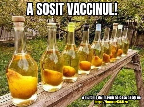 cum arata vaccinul ardelenesc