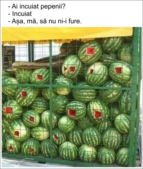cum au dat hotii atacul la pepeni