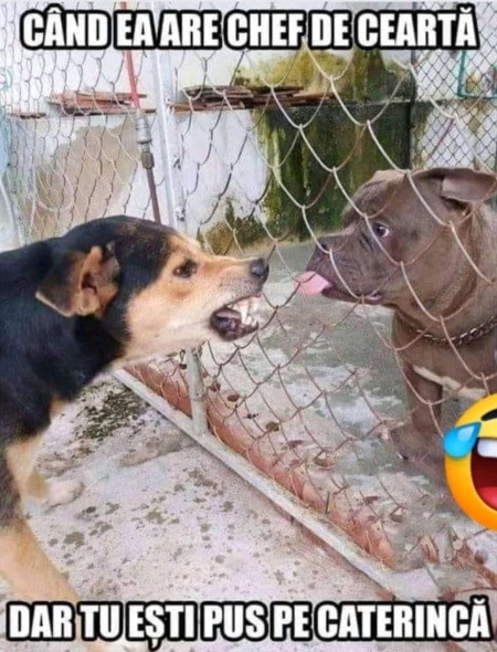 cum decurge o cearta in cuplu cateodata