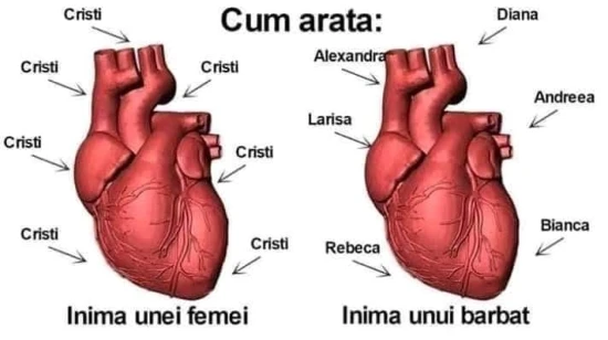cum difera inima unui barbat de cea a unei femei