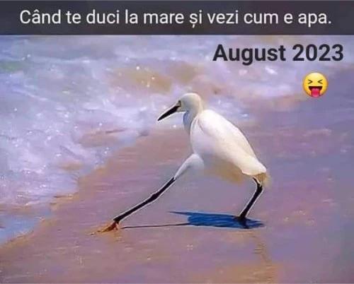 cum este apa marii in august 2023