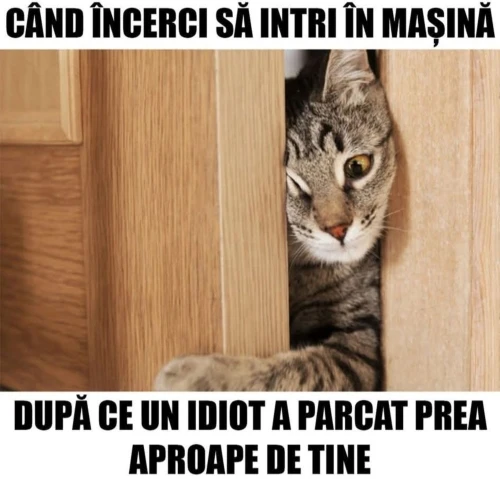 cum incerci sa intri in masina 